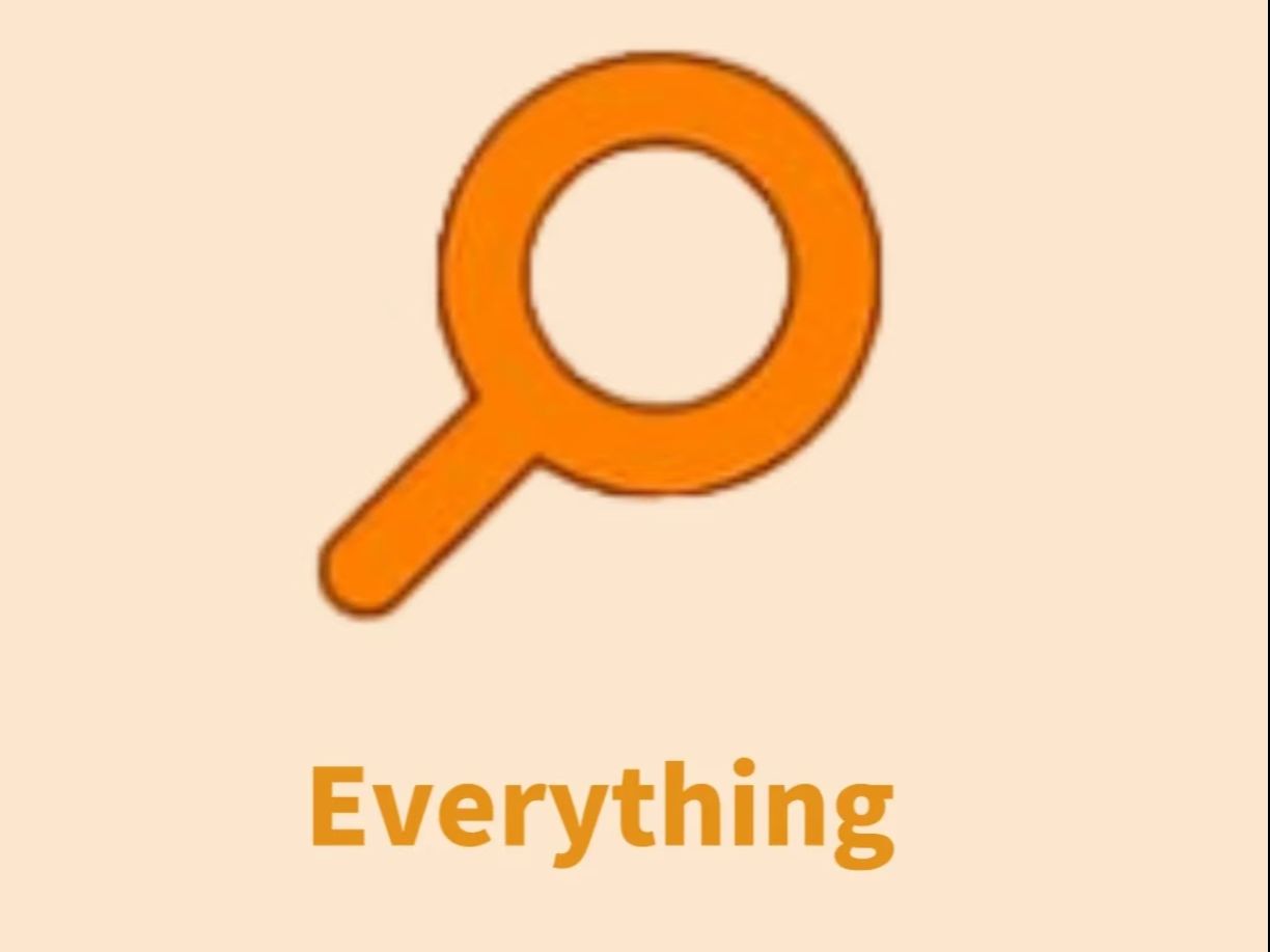 Everything文件搜索工具-软件家园网