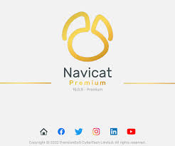 navicat16安装包与激活工具-软件家园网