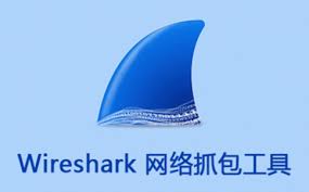 Wireshark-4.2.5-软件家园网